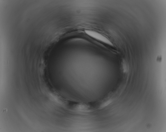 X0000092010223200709271535