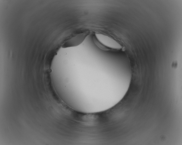 X0000092010225200709271535