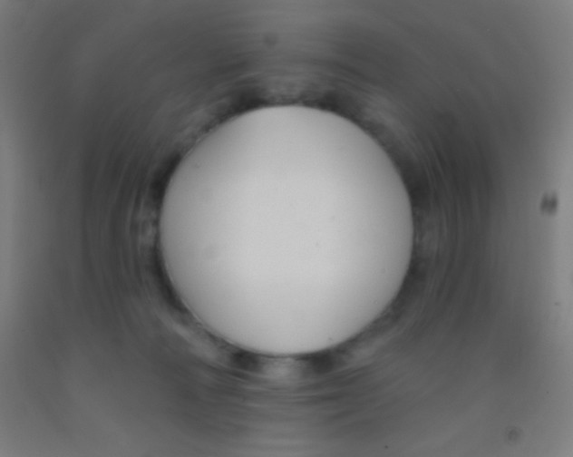 X0000092010226200709271535