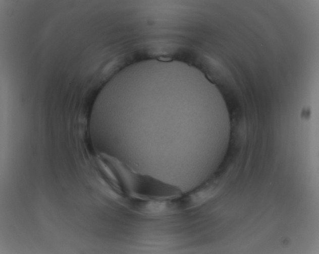 X0000092010227200709271535