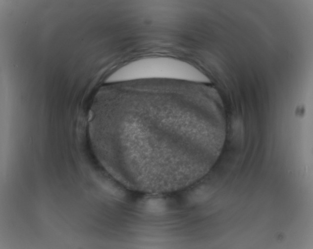 X0000092010228200709271535