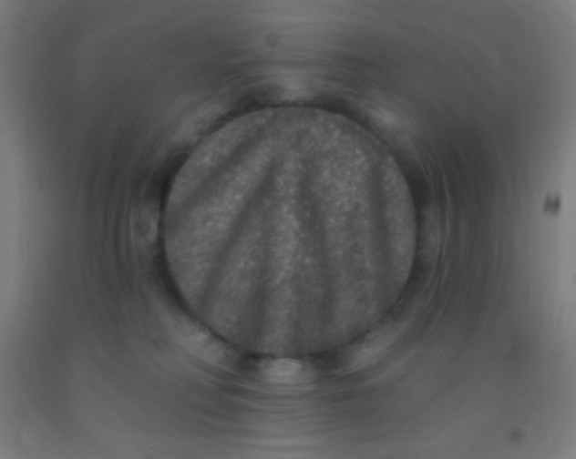 X0000092010230200709271535