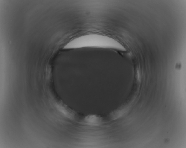 X0000092010231200709271535