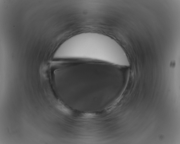 X0000092010233200709271535