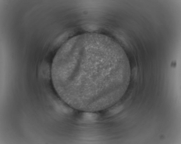 X0000092010234200709271535