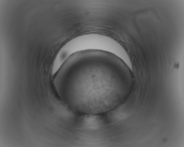 X0000092010235200709271535