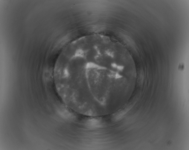 X0000092010236200709271535