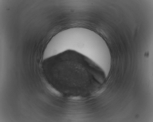 X0000092010237200709271535