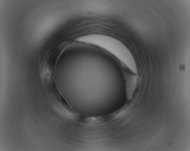 X0000092010239200709271535