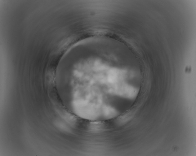 X0000092010240200709271535