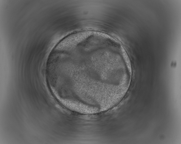 X0000092010241200709271535