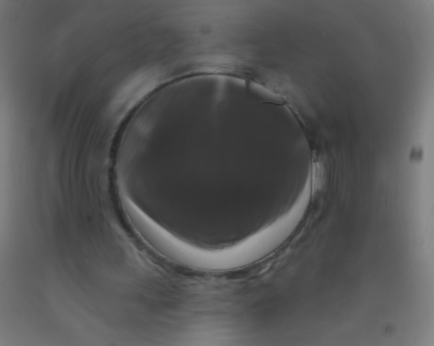 X0000092010243200709271535