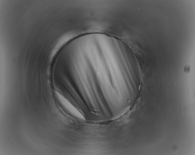 X0000092010244200709271535