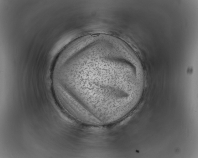 X0000092010245200709271535