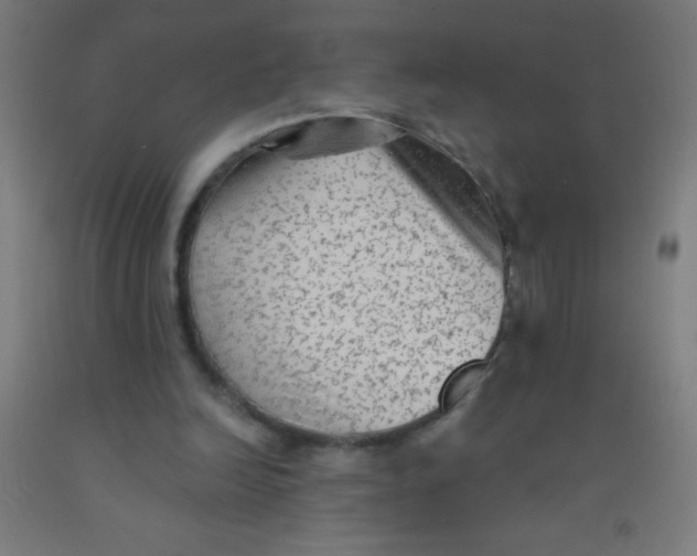 X0000092010246200709271535