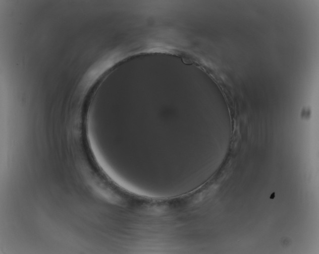 X0000092010247200709271535