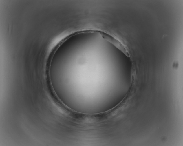 X0000092010248200709271535