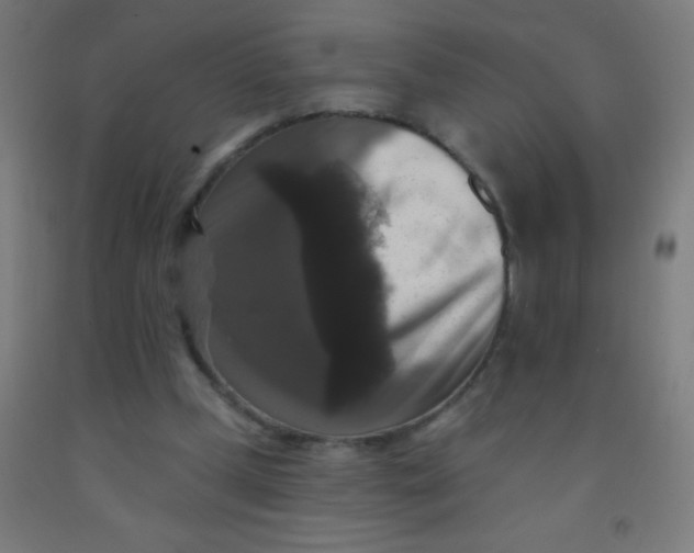 X0000092010249200709271535