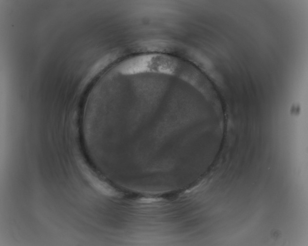 X0000092010250200709271535