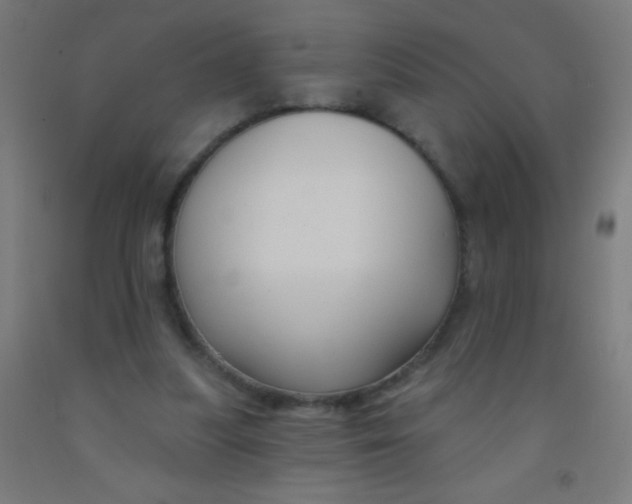 X0000092010251200709271535