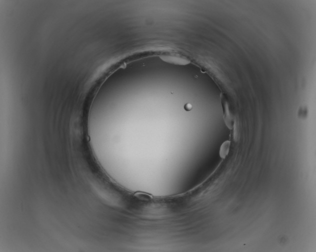 X0000092010252200709271535