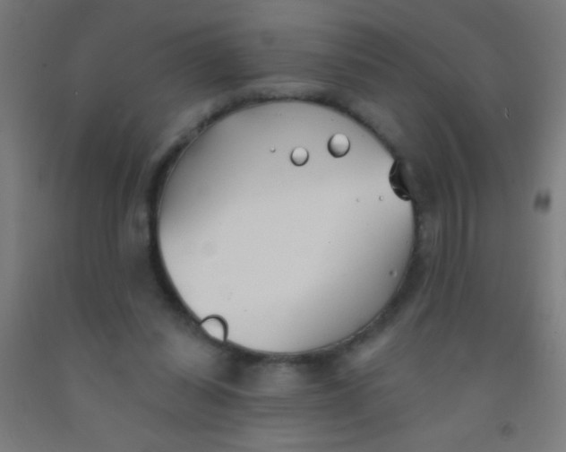 X0000092010254200709271535