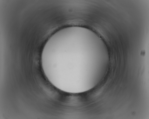 X0000092010255200709271535