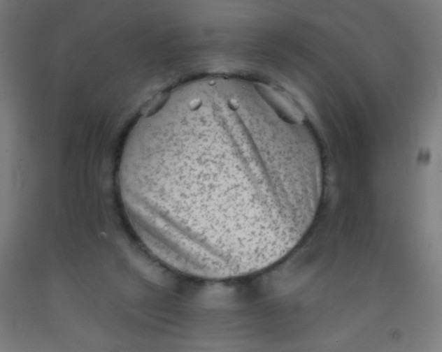 X0000092010257200709271535