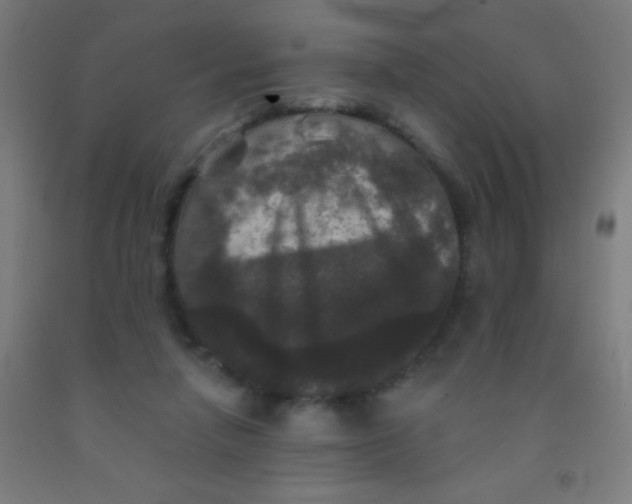 X0000092010258200709271535