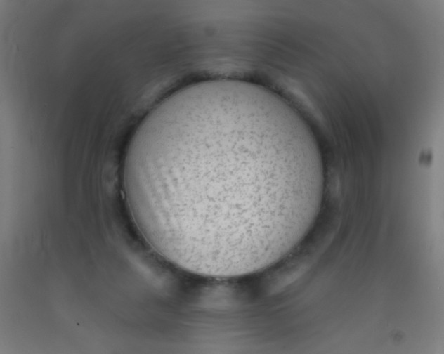 X0000092010259200709271535