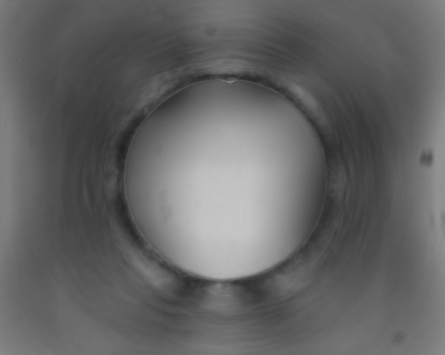 X0000092010261200709271535