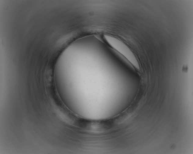 X0000092010264200709271535