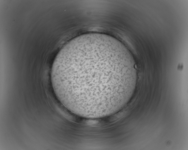 X0000092010265200709271535