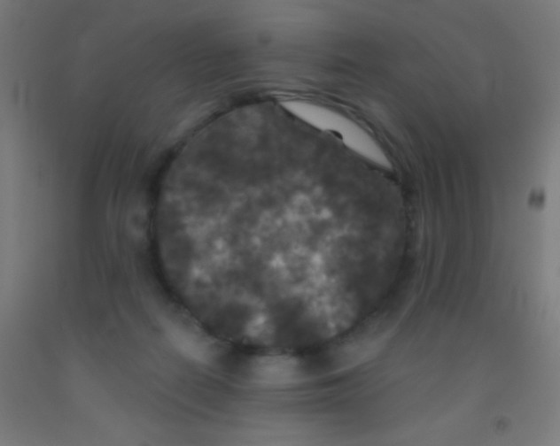 X0000092010266200709271535