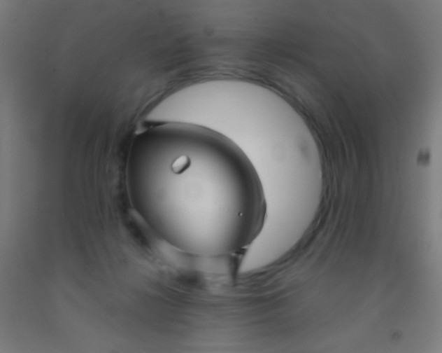 X0000092010268200709271535