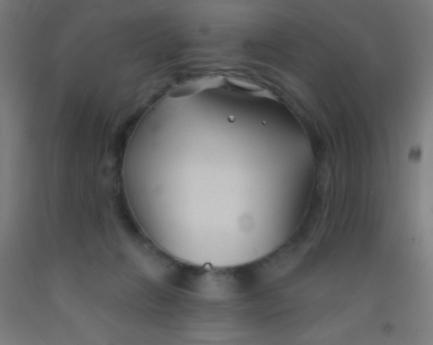 X0000092010270200709271535