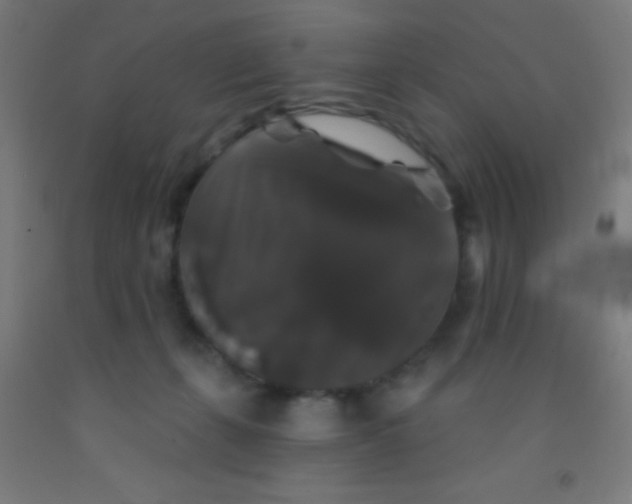 X0000092010271200709271535