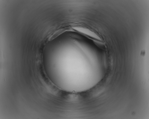 X0000092010272200709271535