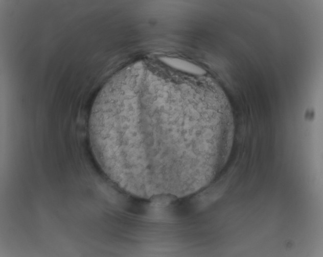 X0000092010273200709271535