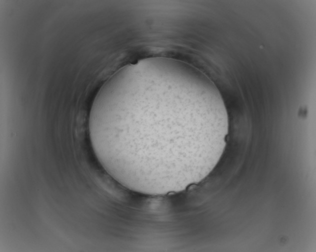 X0000092010275200709271535