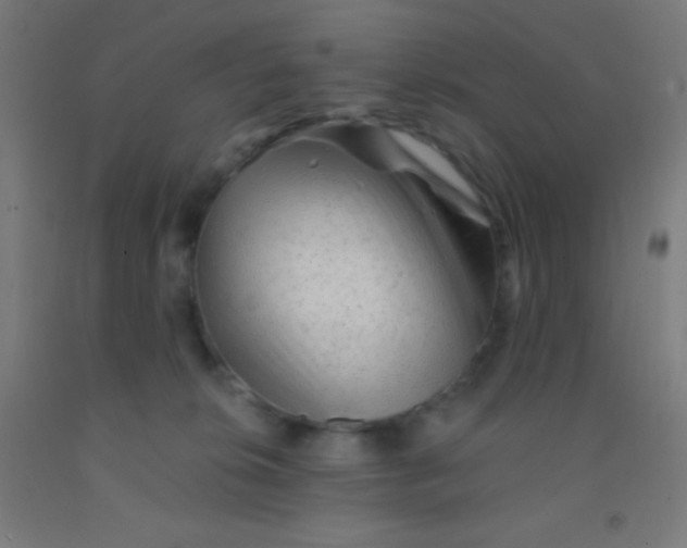 X0000092010276200709271535