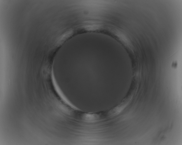 X0000092010277200709271535