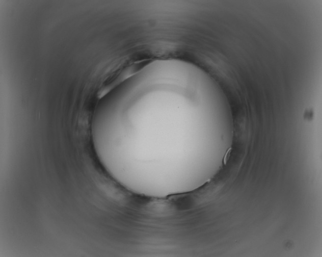 X0000092010280200709271535