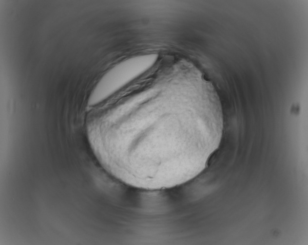 X0000092010281200709271535