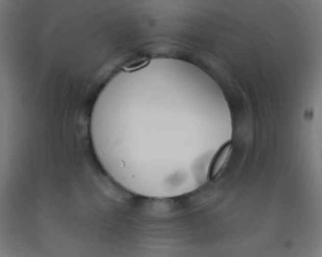 X0000092010282200709271535