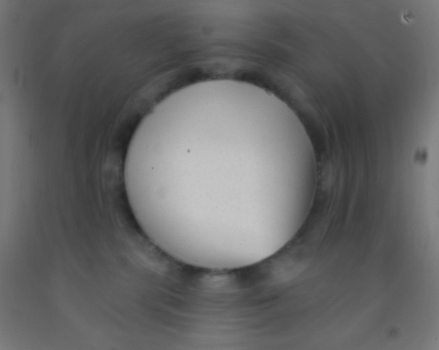 X0000092010283200709271535