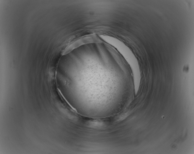 X0000092010284200709271535