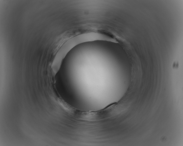 X0000092010288200709271535