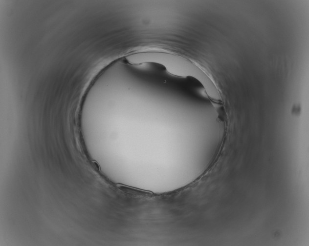 X0000092010289200709271535