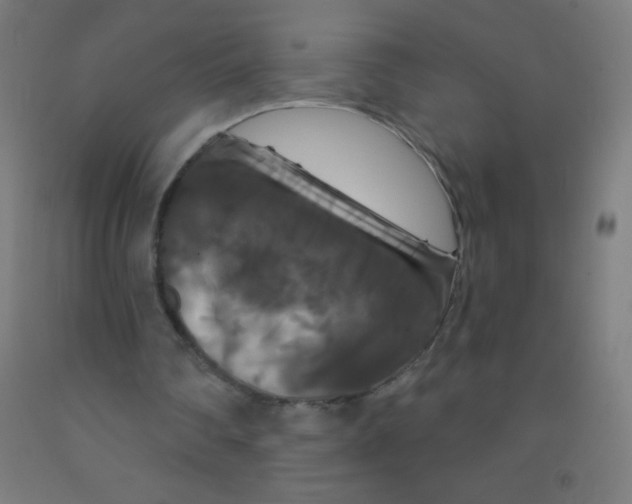 X0000092010290200709271535